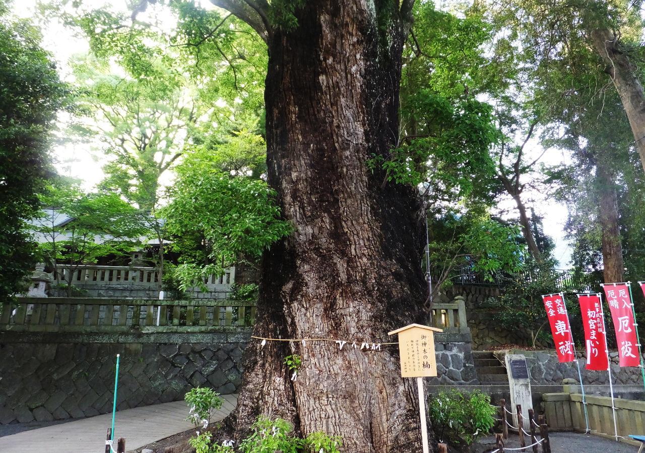Itoen Shikisai 3* Yugawara